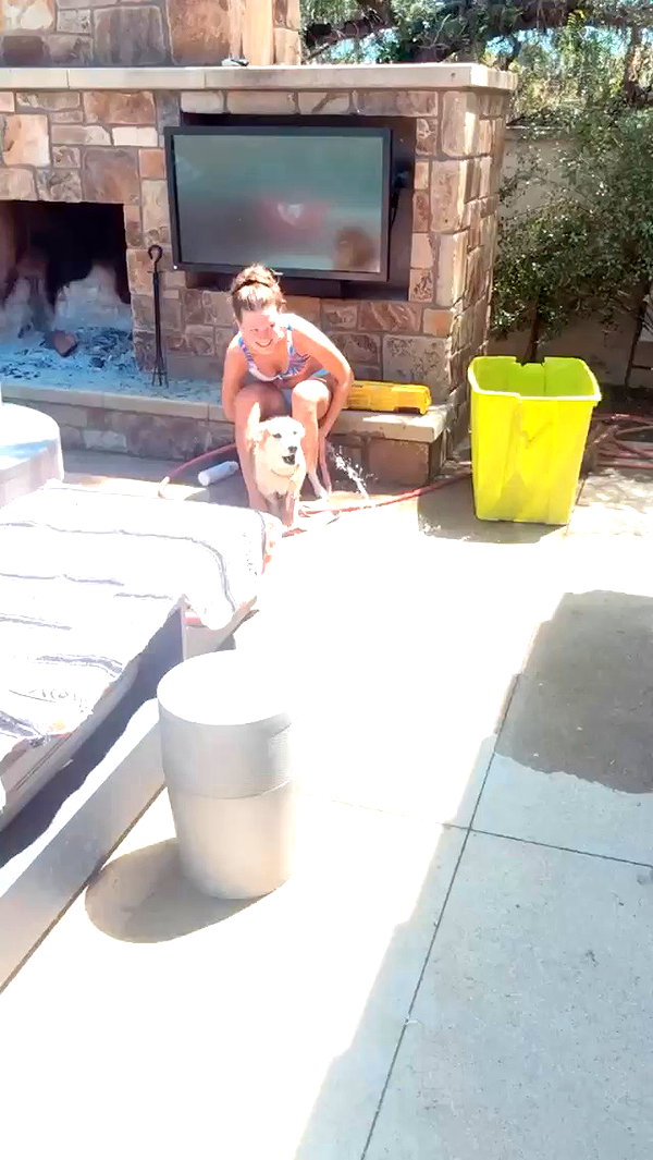 allie_dunn archive video preview