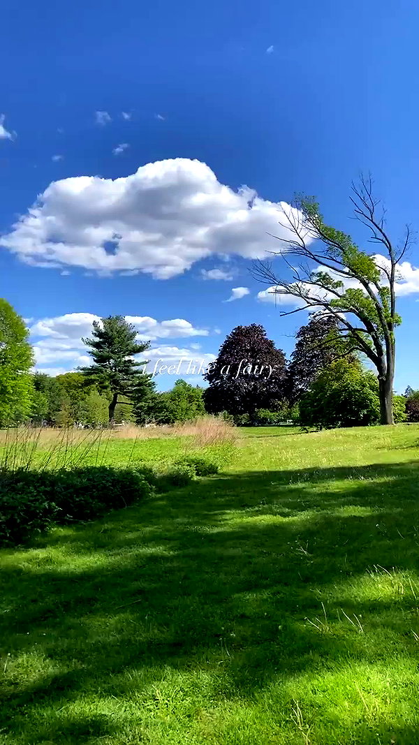 v.qx archive video preview