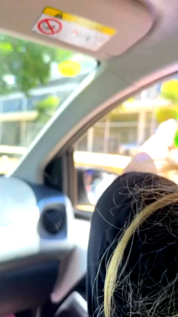 _allvi.pansk archive video preview