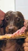maya.keyy Altpins Profile Picture