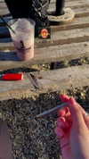 glo_guarino_ Altpins Profile Picture