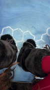strawberryshanz Altpins Profile Picture