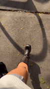 rouxroux.tv Altpins Profile Picture
