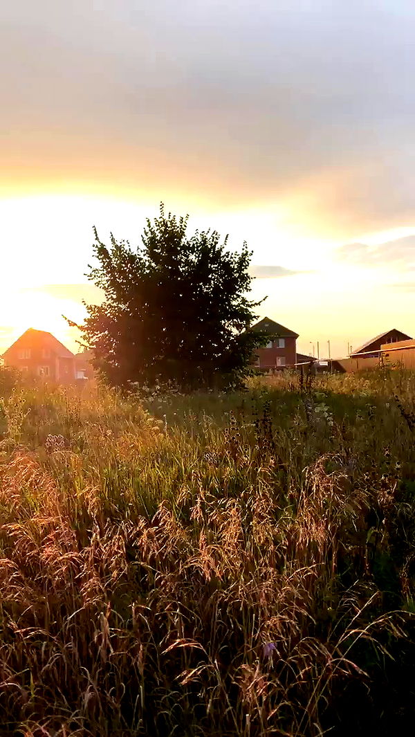 nyityam archive video preview