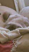 laluzone Altpins Profile Picture