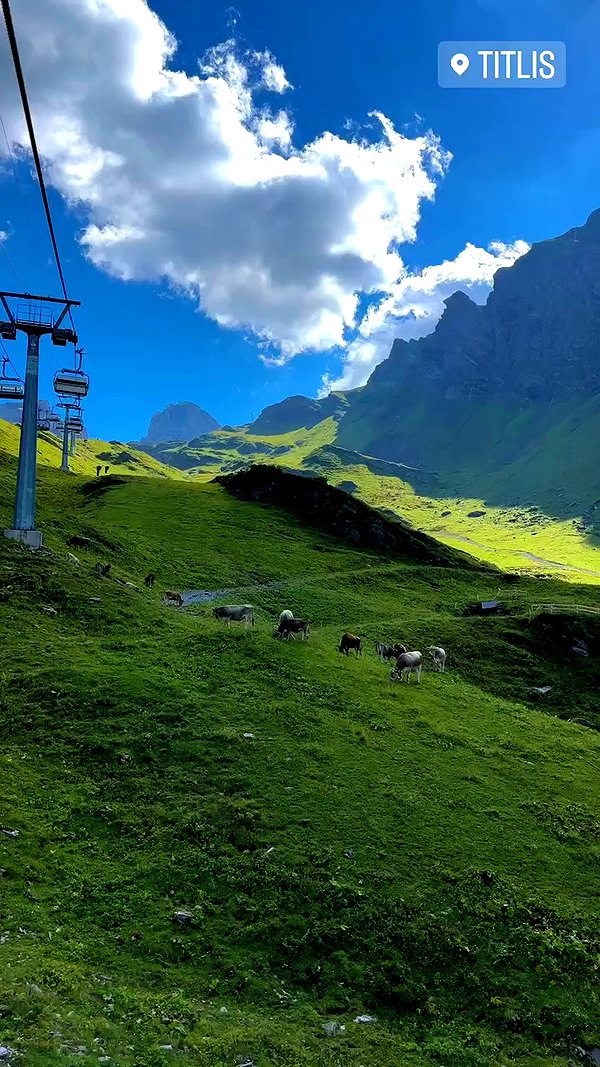 swfx_real archive video preview