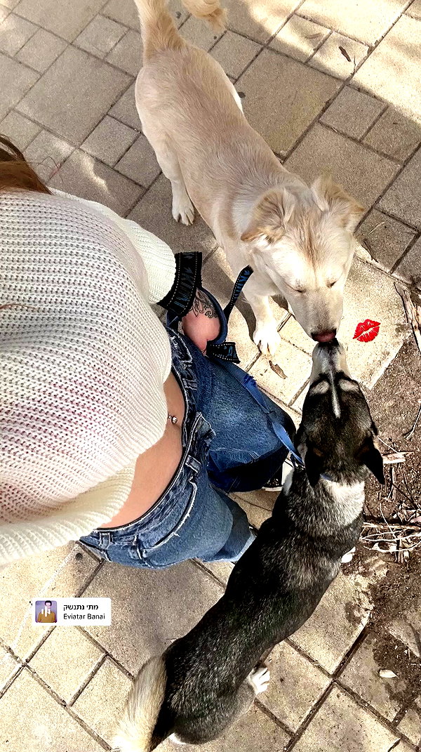 yaarat11 archive video preview