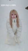 4ure1i2 Altpins Profile Picture