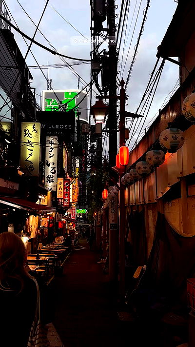 taylor.creeden taylor.creeden archive video