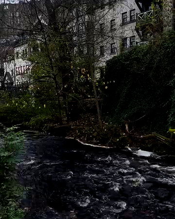 taylor.creeden taylor.creeden archive video