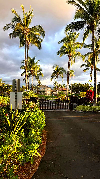 tatum.ricee tatum.ricee archive video