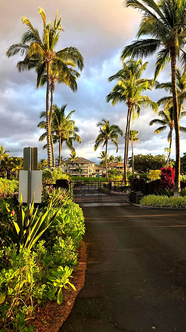 tatum.ricee archive video preview