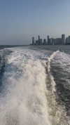 sonia_litvanchuk Altpins Profile Picture