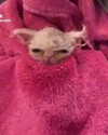 catl0verr69 Altpins Profile Picture