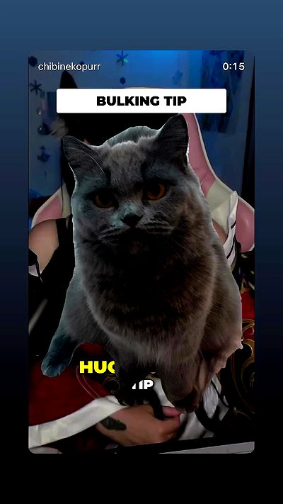 chibinekopurr chibinekopurr archive video