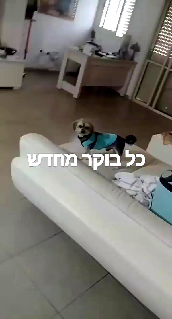 eitan.420 archive video preview