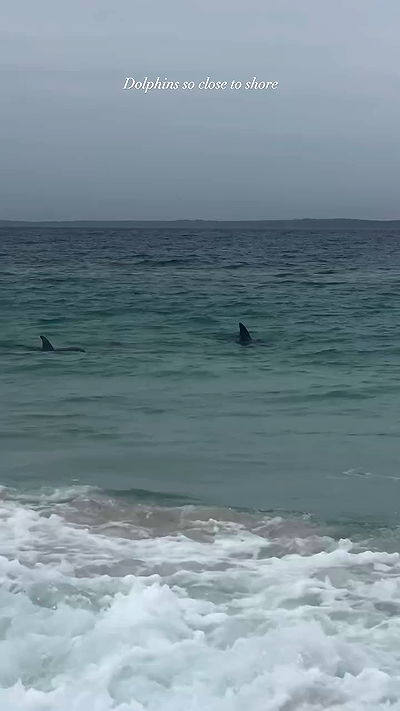 taylor.creeden taylor.creeden archive video