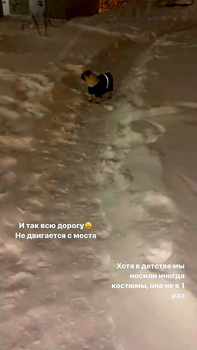 nyityam nyityam archive video