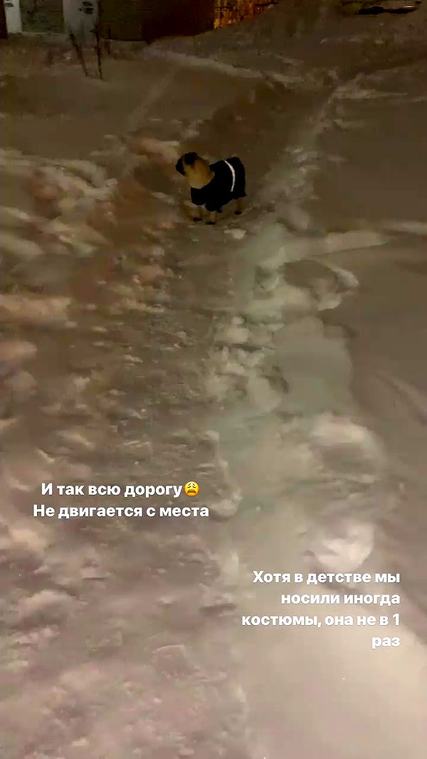 nyityam archive video preview