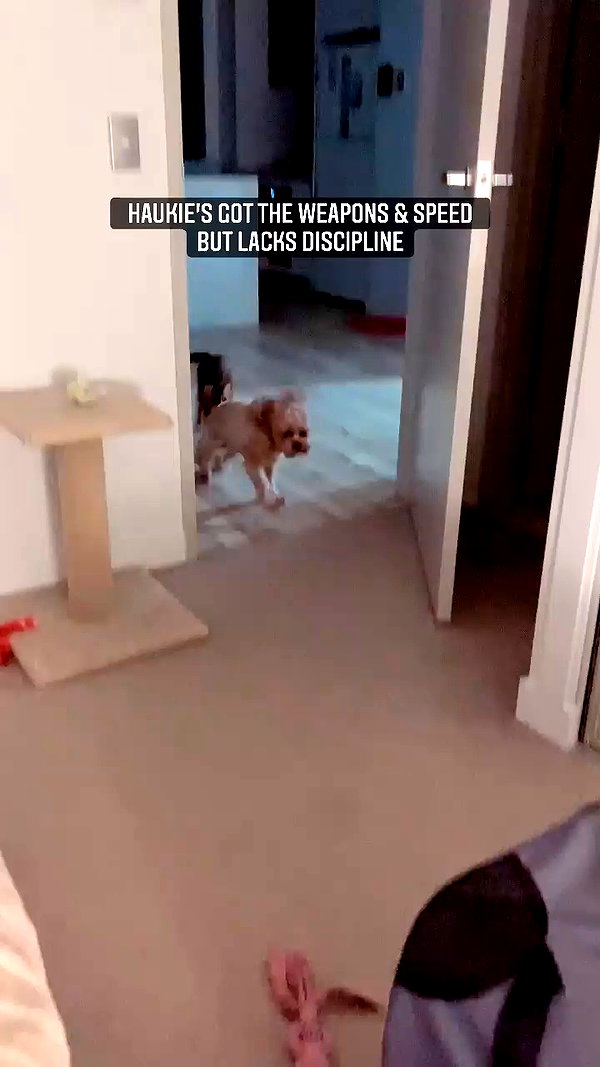 olivia.mathers archive video preview