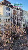 daria.lesin Altpins Profile Picture