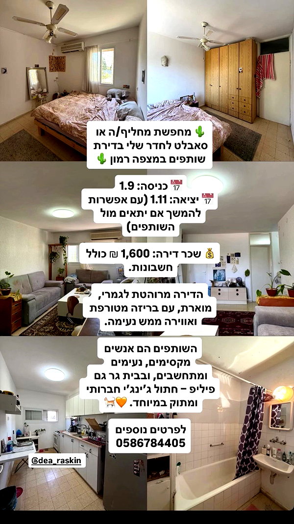 ___shachar archive video preview