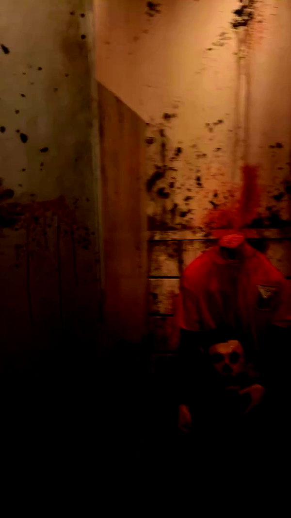 dracuina archive video preview