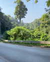 baipobam Altpins Profile Picture