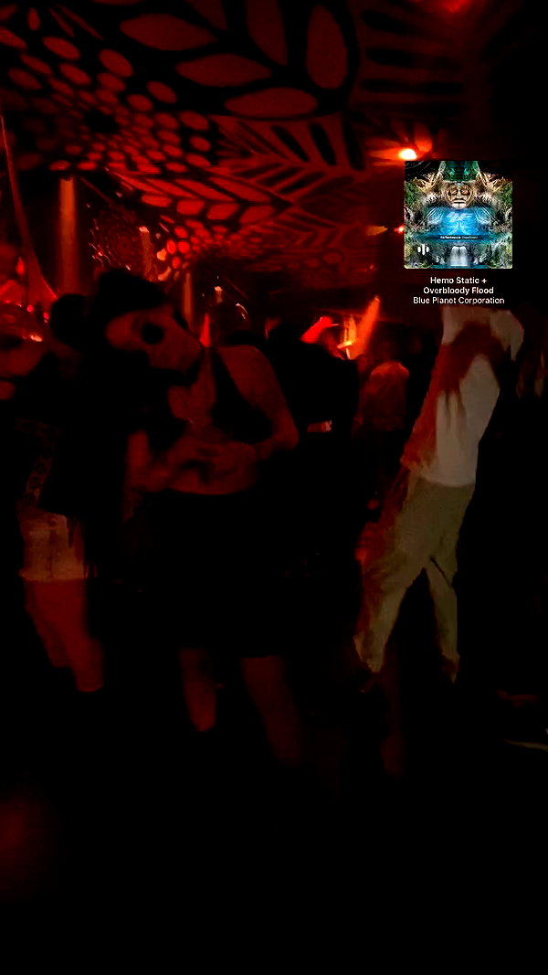 shaharo__._ archive video preview