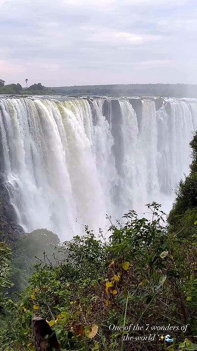 taylor.creeden taylor.creeden archive video