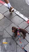 maya.keyy Altpins Profile Picture