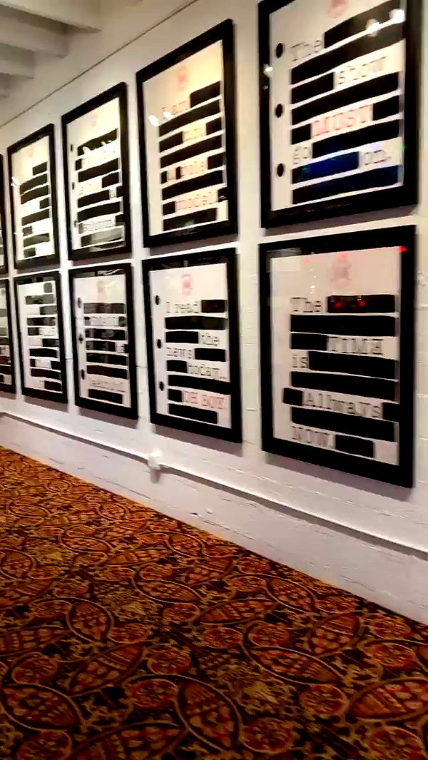 shakeddri archive video preview