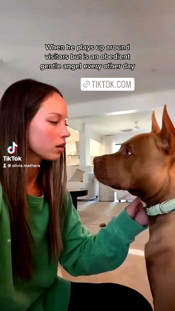 olivia.mathers archive video preview