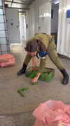 biton__adi Altpins Profile Picture
