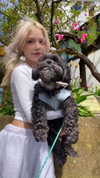 dollblush Altpins Profile Picture