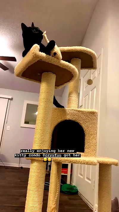 suikomuu suikomuu archive video