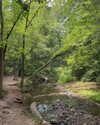 rouxroux.tv Altpins Profile Picture