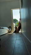 orman.mariee Altpins Profile Picture