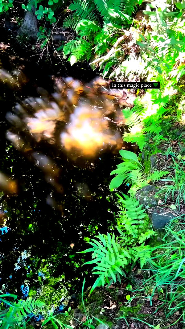 aleiisha.piixiie archive video preview
