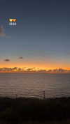 lin__099 Altpins Profile Picture