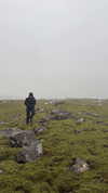 rouxroux.tv Altpins Profile Picture