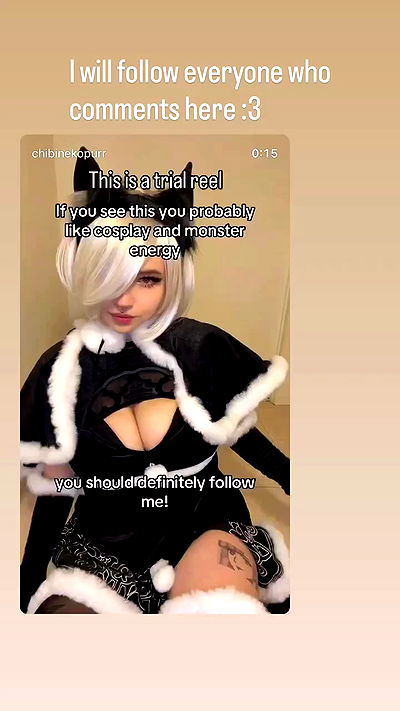 chibinekopurr chibinekopurr archive video