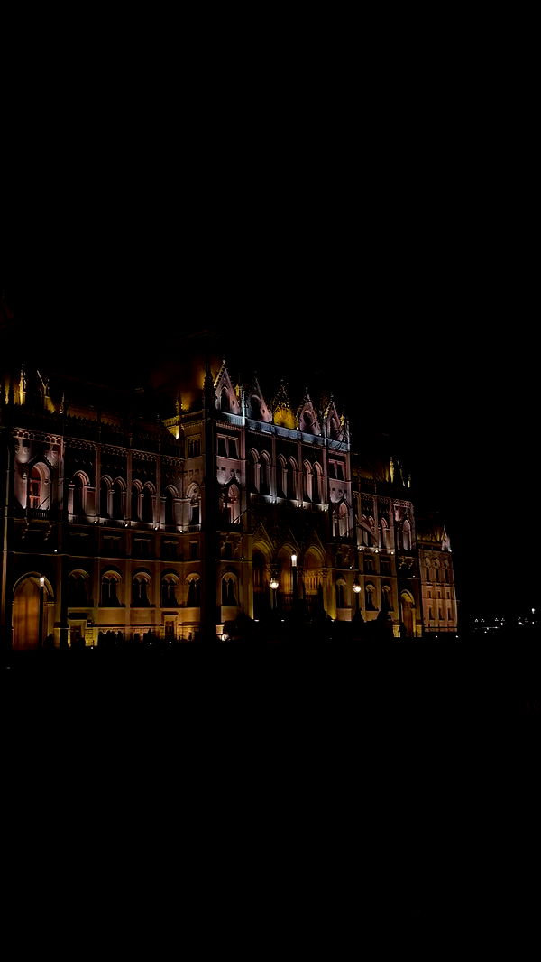 talia_davidov archive video preview