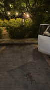 efrat_elmalich Altpins Profile Picture