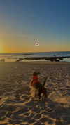 maya.keyy Altpins Profile Picture