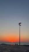 nikolpeleg Altpins Profile Picture