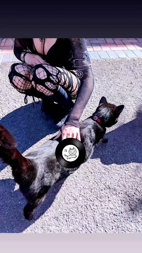 nylthria archive video preview