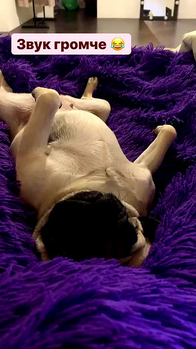 nyityam nyityam archive video