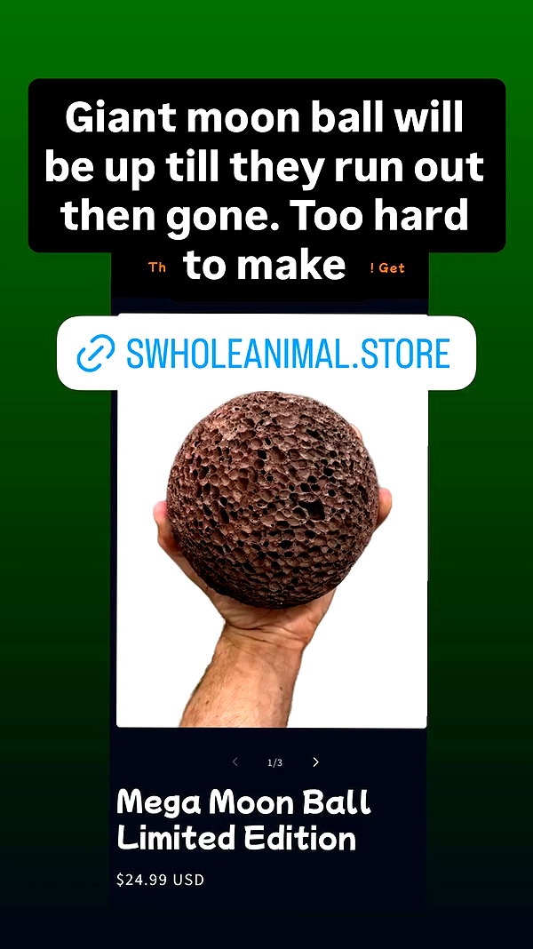 swholeanimal archive video preview