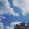 cannonstheband Altpins Profile Picture